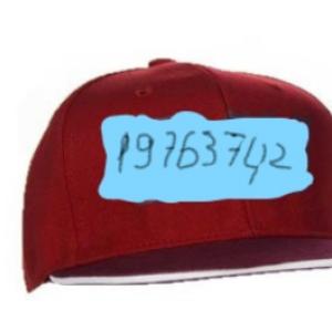 19763742